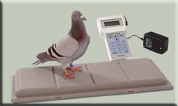 Das TauRIS® compakt System mit Vierfachsensor!